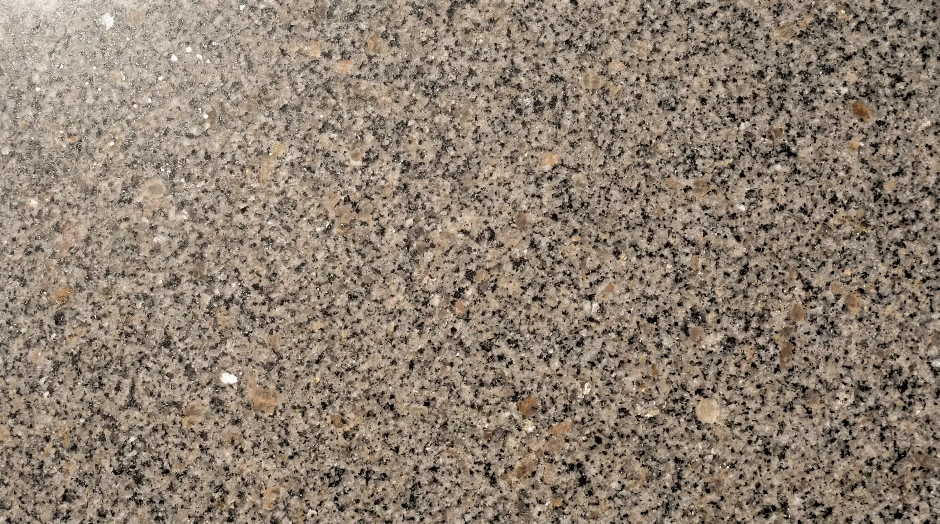 Granit – warm gesprenkelt, poliert, Großformat-Material bei Cera Style Fliesen